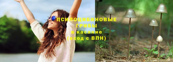 герыч Арсеньев