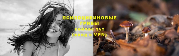 кокаин перу Аркадак