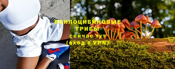 кокс Армянск